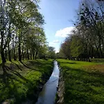 بيت شباب Drzymaly *