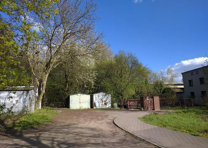 Drzymaly * Познань